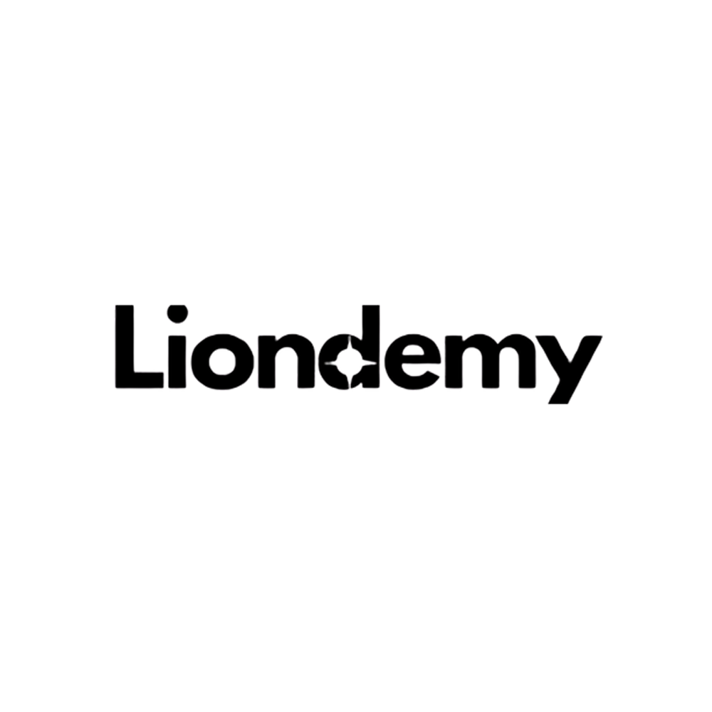 Liondemy wordmark